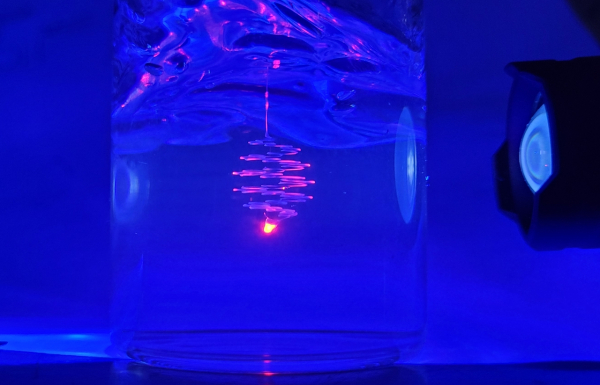 하이드로젤 내부에 3D 프린팅된 먹장어 모사 섬유 구조체