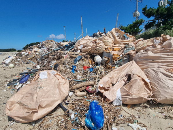신합리해변 해양쓰레기 모습