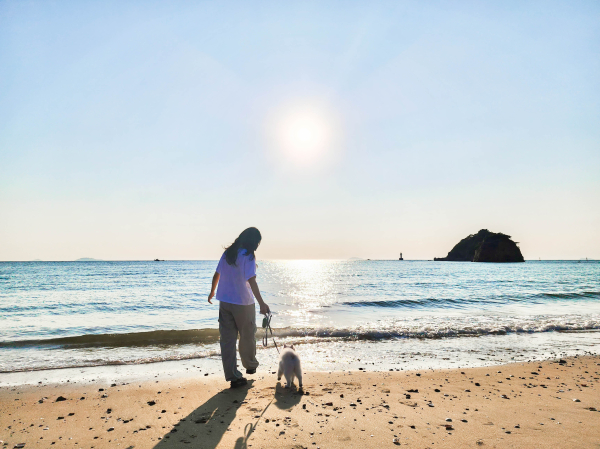 반려동물과 함께 태안 여행을 즐기는 관광객들 모습