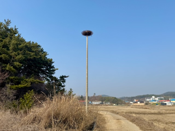 지난 21일 팔봉면 어송리 송전탑 주변에 설치된 인공 둥지탑 모습