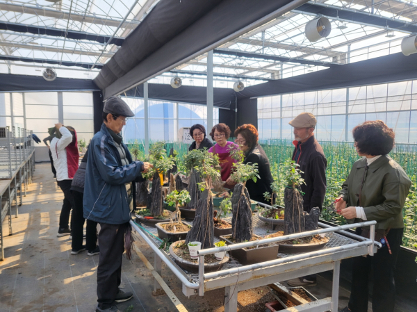 국화분재 재배기술교육 모습