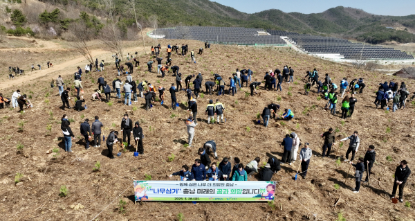 28일, 충청남도와 함께 오천면 교성리 소재 임야에서 나무심기 행사 진행 모습