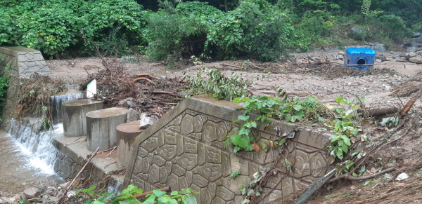 2020년 집중호우 당시 토석 및 유목을 막은 사례(대술 궐곡 산41)