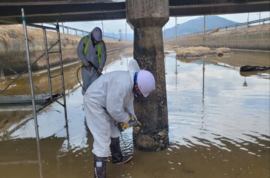 비법정교량(원평교) 보수보강 공사 현장