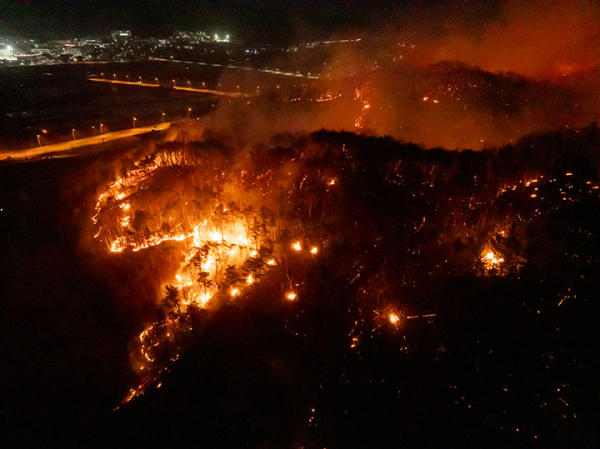 대규모 산불 피해 현장 모습
