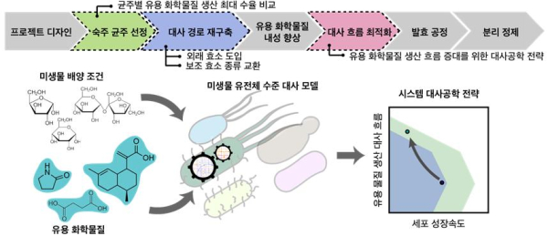 유전체 수준 대사 모델을 이용한 미생물 세포 공장 개량 전략 제시 개요