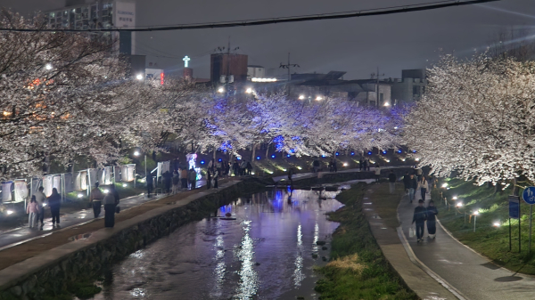 야간순환형 시티투어버스 ‘별빛한바퀴’  운영 모습