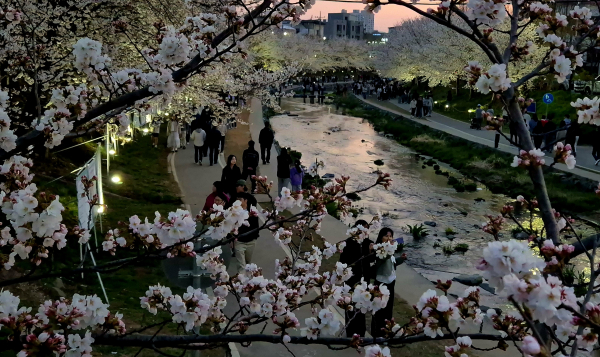 야간순환형 시티투어버스 ‘별빛한바퀴’