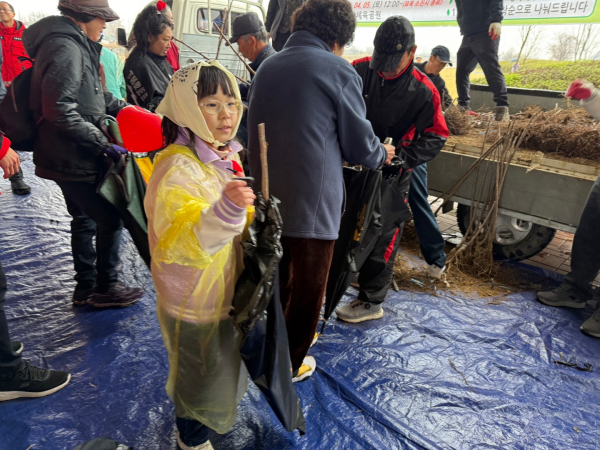 나무 나눠주기 행사 모습