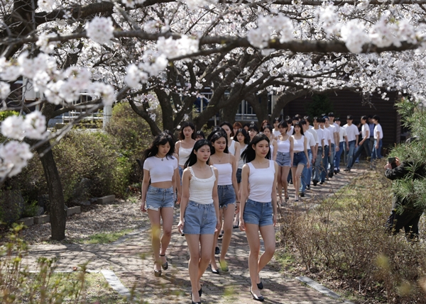 대덕대 K-모델과 벚꽃워킹