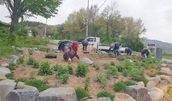 지난 2024년 봄꽃 식재 사진