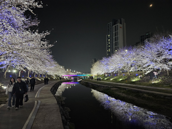 원성천과 천안천 산책로에 경관 조명을 설치했다.