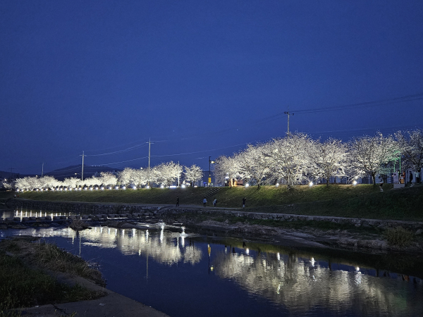 원성천과 천안천 산책로에 경관 조명을 설치했다.