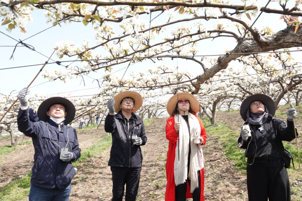 아산시의회가 과수농가 일손돕기에 나섰다.