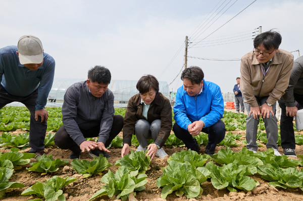 지난 17일, 송미령(왼쪽 세번째) 농림축산식품부 장관이 충남 아산시 배방읍에 있는 노지 봄배추 재배현장을 찾아 생육상황을 확인하고 있다.
