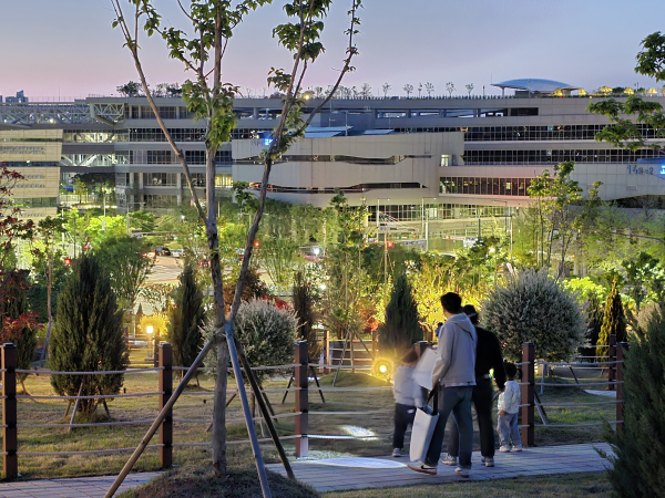 옥상정원 야간개방 모습