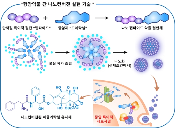 항암약물간 나노변환 설명 연구 모식도