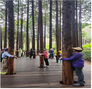 숲체험·교육사업(효과증진형) ‘숲지기 솔이참’ 프로그램 운영 사진