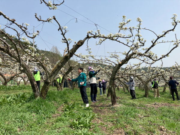 일손돕기 진행 모습
