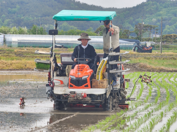 (사)한국새농민 대전광역시회와 상생·협력농장 모내기 행사 진행 모습