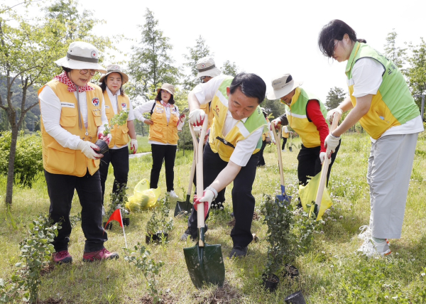 탄소상쇄 숲 조성 나무 심기 행사 장면