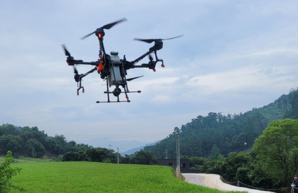 ‘밤나무해충 드론방제' 모습