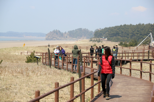 태안 해변길 모습