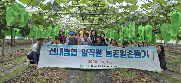 샤인마스켓 포도봉지 씌우기 등 농촌일손돕기 진행 단체사진