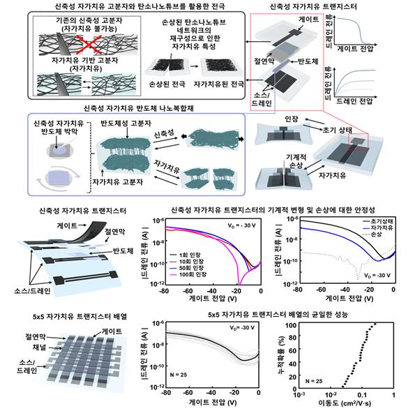 신축성 자가치유 트랜지스터의 구성요소와 특성