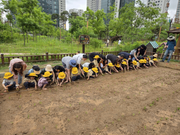 지난 22일, 나성유 생태텃논에서 모내기체험 진행 모습