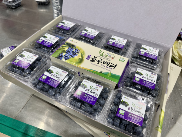 청양 블루베리 공동선별