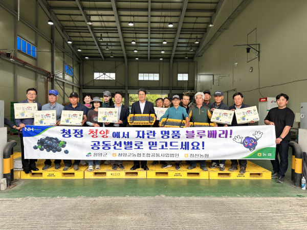 ‘청양농협조합공동사업법인' 블루베리 출하 기념사진