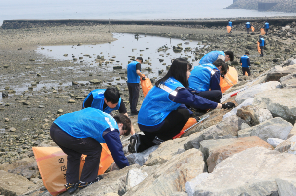 , 바다의 날 맞아 안섬포구 일원서 '2025년 제2차 연안정화 활동'  진행 모습