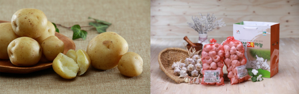 팔봉산 감자와 서산6쪽마늘