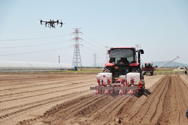 논콩 기계화 일괄파종 시연회 개최 모습