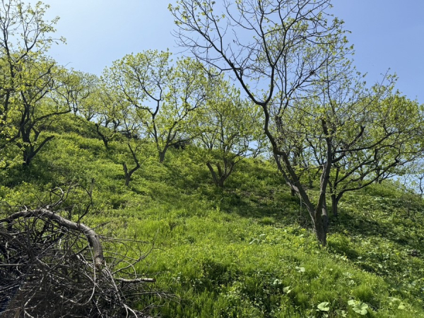 ‘산림소득분야 보조사업’ 관련 자료사진