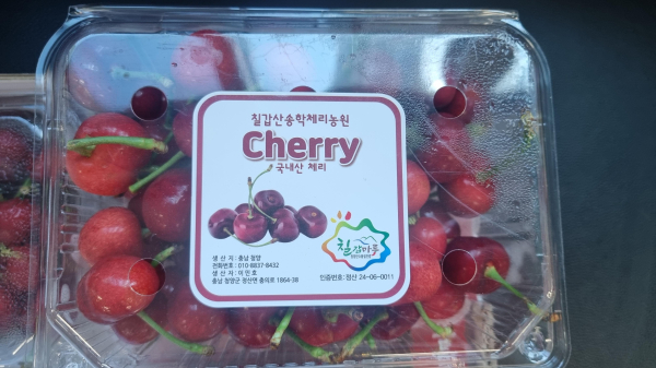 청양 정산 체리 모습