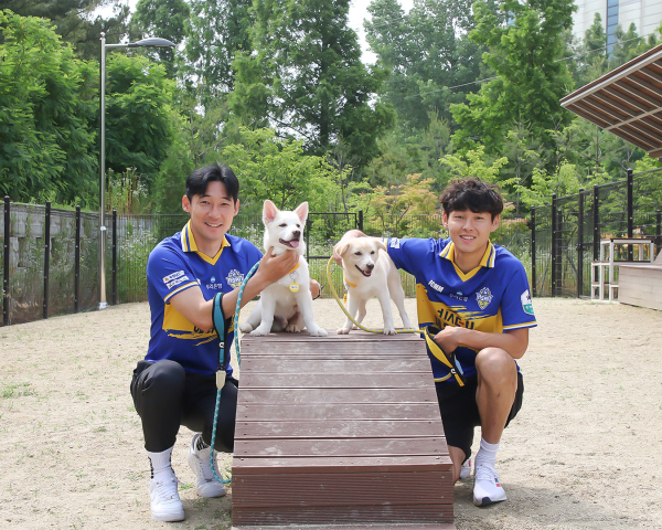 충남아산FC 유기동물 보호 캠페인 ‘블루포우’ 진행