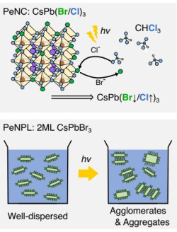 두 가지 페로브스카이트 나노 물질의 광유도 변화