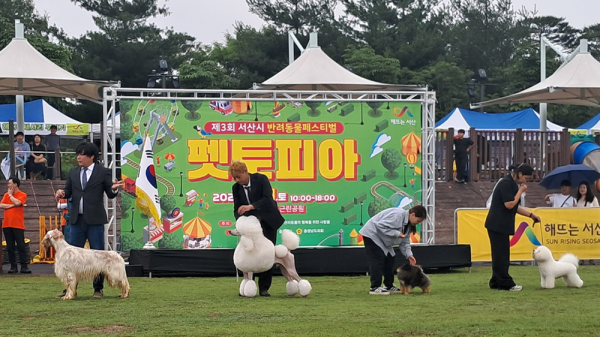 지난 21일 동문근린공원 일원에서 개최된 제3회 반려동물 문화축제 개최 모습