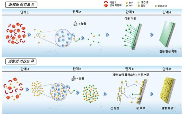 고품질 SnO2 박막 합성을 위한 과잉 리간드 전략 메커니즘