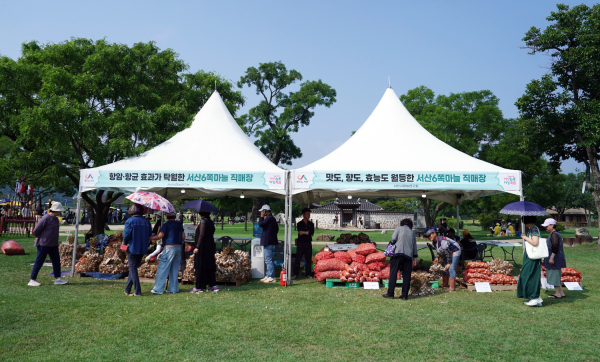 27일, 서산해미읍성 일원에서 열린 제16회 서산6쪽마늘축제  현장 모습