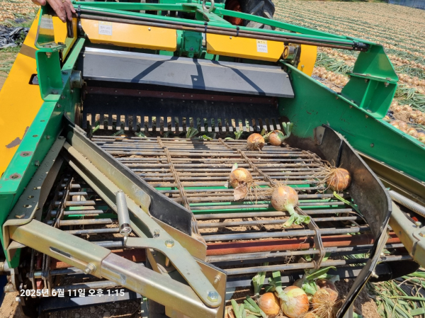 양파 재배 기계화 사업 모습