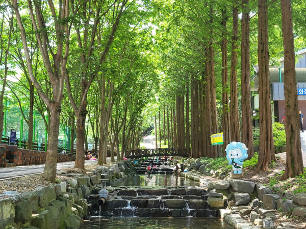 칠갑산자연휴양림의 계곡 모습