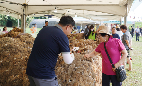서산해미읍성 일원에서 열린 제16회 서산6쪽마늘축제 현장 모습
