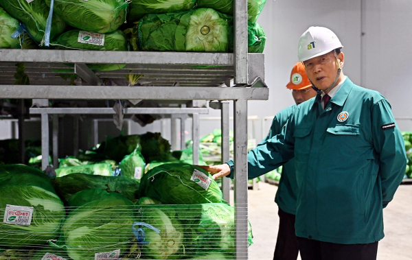 김포 농산물비축기지 배추 품위점검 현장사진   * aT 홍문표 사장