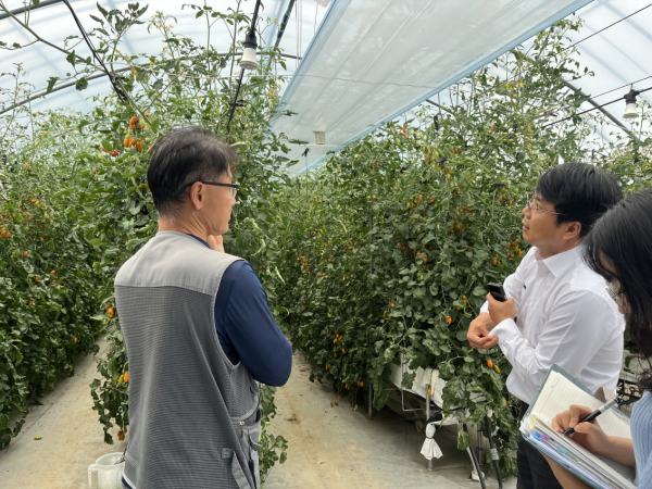 스마트팜 선도농가 현장컨설팅 진행 모습
