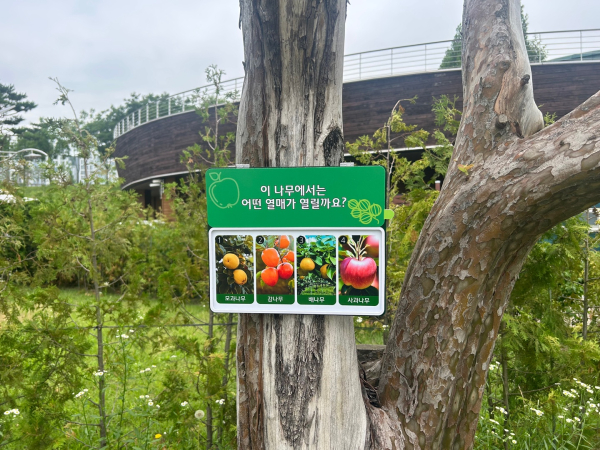 퀴즈형 수목표찰 설치