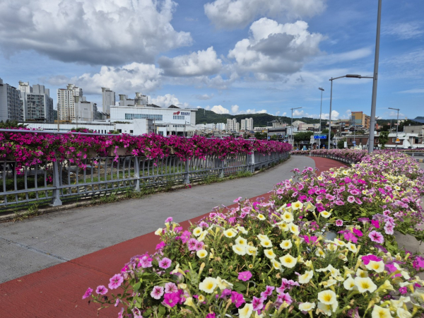 도심 교량 난간에 조성된 꽃화분 모습
