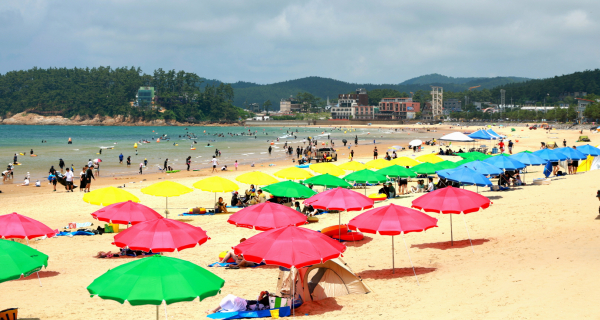 개장 첫날 만리포 해수욕장 모습.